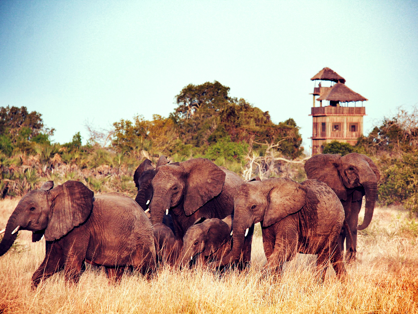 Saadani National Park