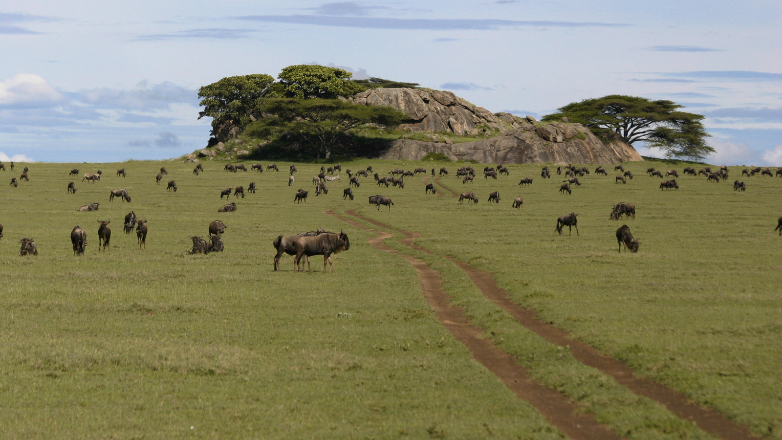 Serengeti National Park